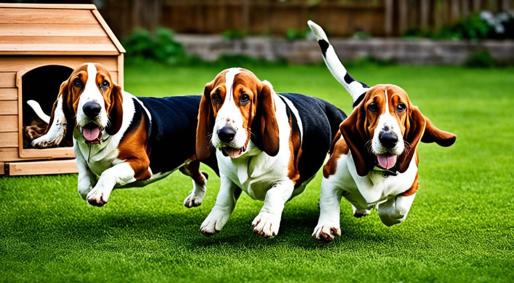 Do basset hounds need another dog?